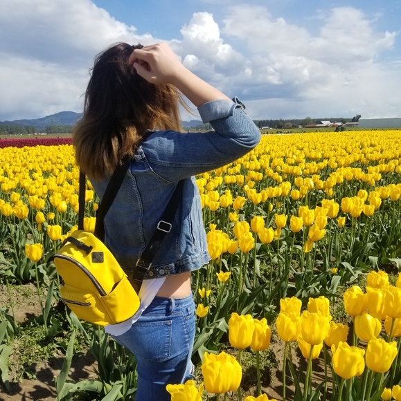 yellowpenguin